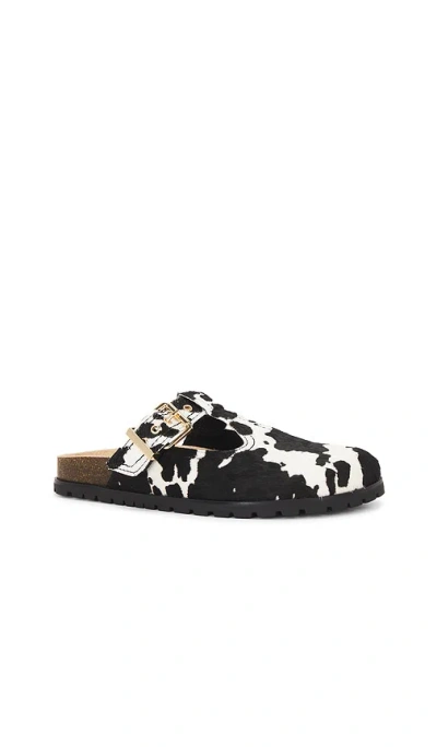 Steve Madden Atticus Genuine Calf Hair Clog In Cowprint Calf Hair