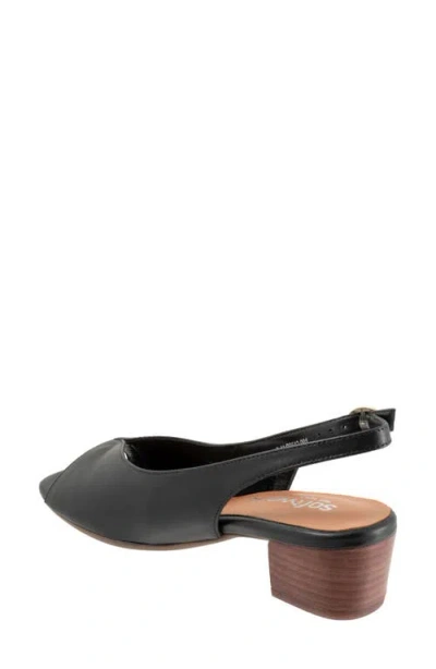 Softwalk Lakewood Sandal In Black
