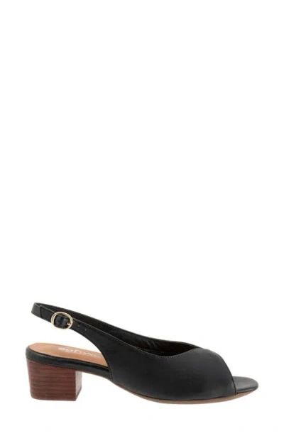 Softwalk Lakewood Sandal In Black