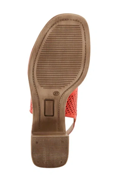 Spring Step Luanca Slingback Sandal In Red