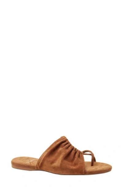 Linea Paolo Lane Toe Loop Sandal In Nutmeg