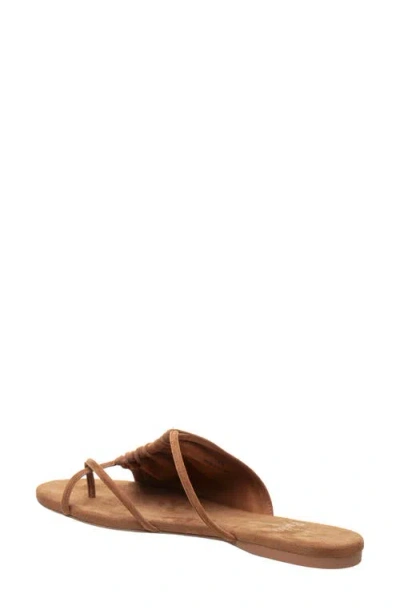 Linea Paolo Lane Toe Loop Sandal In Nutmeg