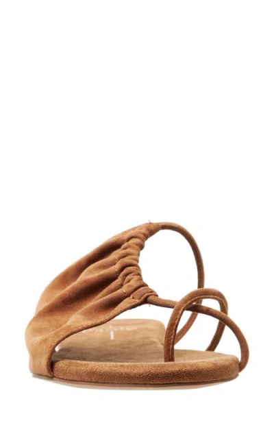 Linea Paolo Lane Toe Loop Sandal In Nutmeg