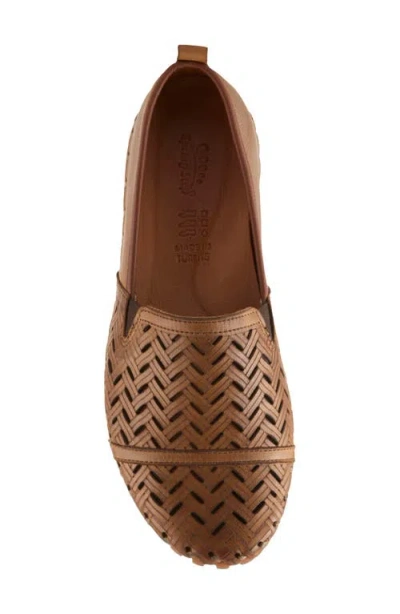 Spring Step Kapri Flat In Brown