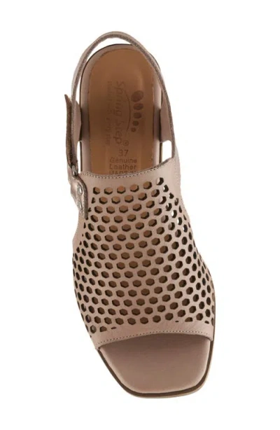 Spring Step Gosset Sandal In Stone Multi