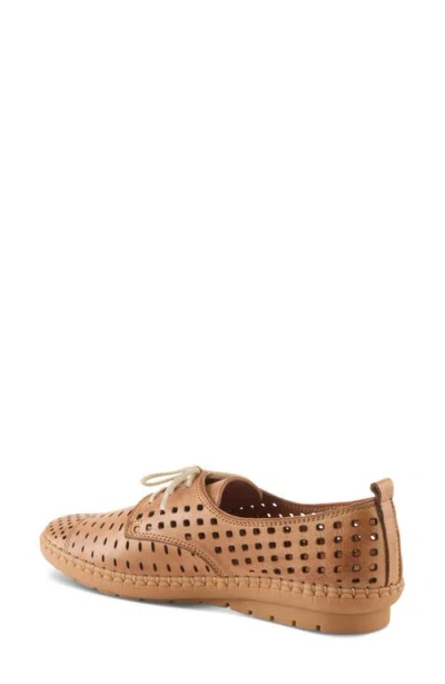 Spring Step Deysi Perforated Derby In Tan