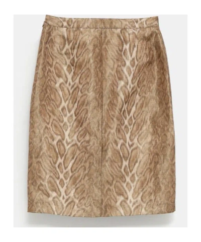 Celine Patterned Skirt In Nude