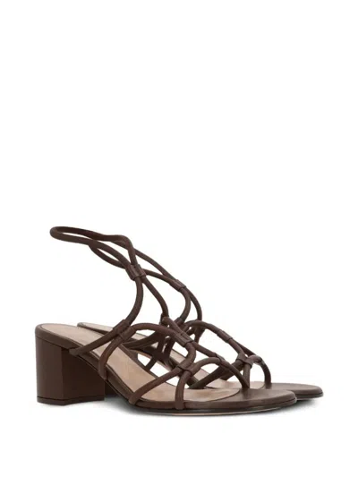 Gianvito Rossi Leather Sandal With Intricate Straps In Brown