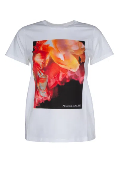 Alexander Mcqueen Print Cotton T-shirt In Multicolor