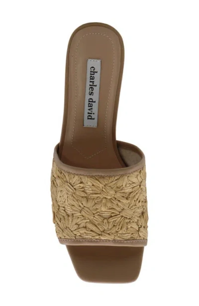 Charles David Raffi Slide Sandal In Natural