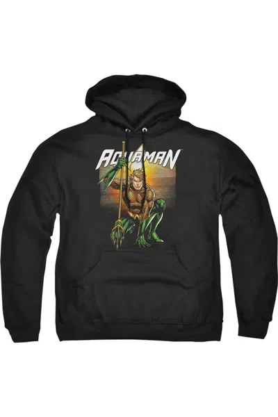 Gildan Justice League Of America Beach Sunset Adult Pull Over Hoodie / Hooded Sweatshirt In Black
