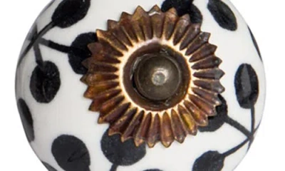 Kinetic 12-pack Knobs In White Bronze