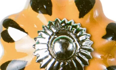 Kinetic 12-pack Knobs In Golden Flower