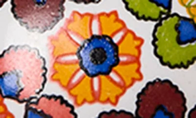 Kinetic 8-pack Knobs In Orange Green Floral