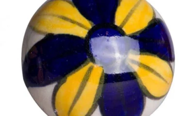 Kinetic 12-pack Knobs In Navy Yellow