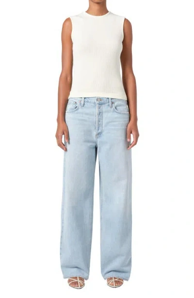 Agolde Ren High Waist Wide Leg Pants In Encounter