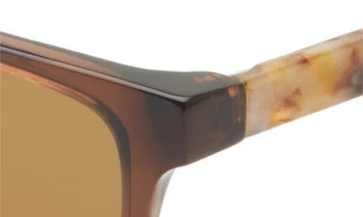 Eyebobs Number Cruncher 53mm Polarized Rectangular Sunglasses In Brown