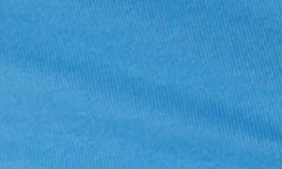 Michael Stars Demi Sleeveless Fitted Dress In Jav