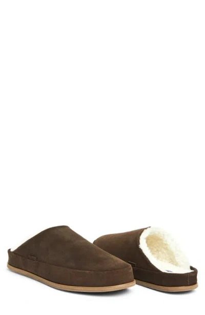 Hari Mari Tio Genuine Shearling Lined Slipper In Havana Brown