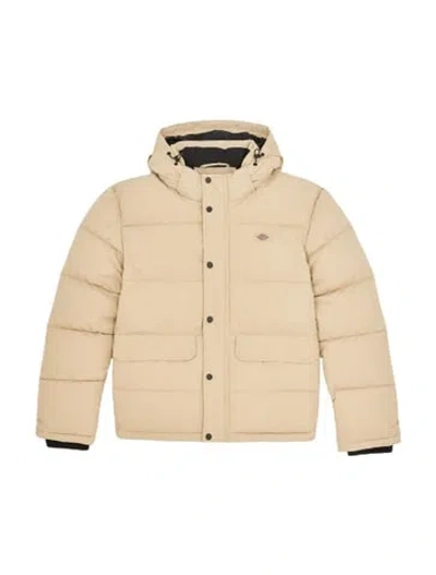 Dickies Glacier View Puffer Clothing