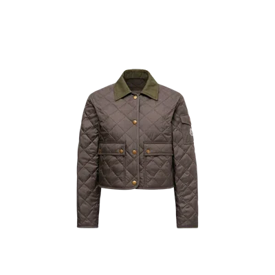 Moncler Chitre Cropped Cotton-canvas Trimmed Padded Quilted Shell Jacket In Green