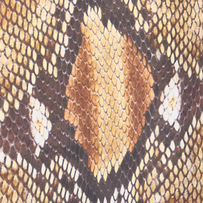 Roberto Cavalli Hose Mit Python-print In Brown