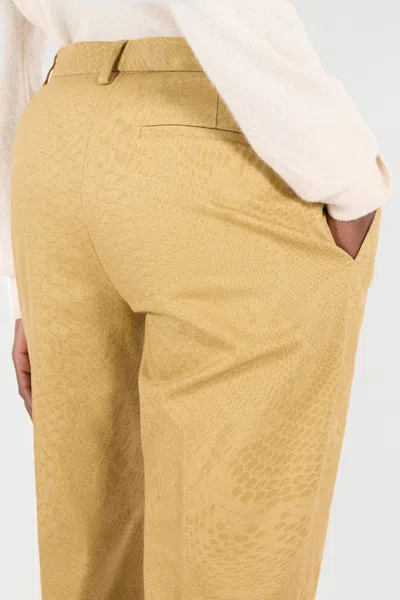 Roberto Cavalli Solid-color Python-print Pants In Kaki