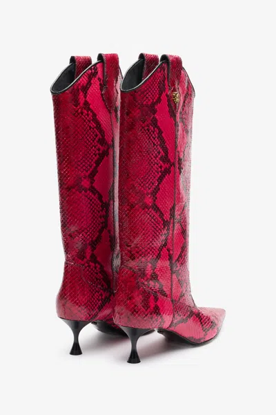 Roberto Cavalli Boots With Python Print In Fuchsia