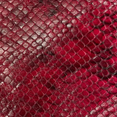 Roberto Cavalli Shiny Python-print Jacket In Fuchsia