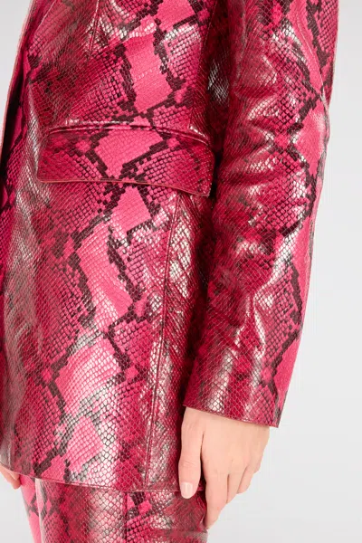 Roberto Cavalli Shiny Python-print Jacket In Fuchsia