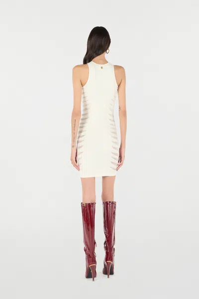 Roberto Cavalli Dress With Openwork Zebra Pattern In Ivory