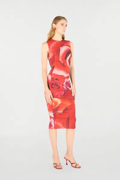 Roberto Cavalli Rose-print Midi Dress In Red