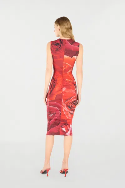 Roberto Cavalli Rose-print Midi Dress In Red