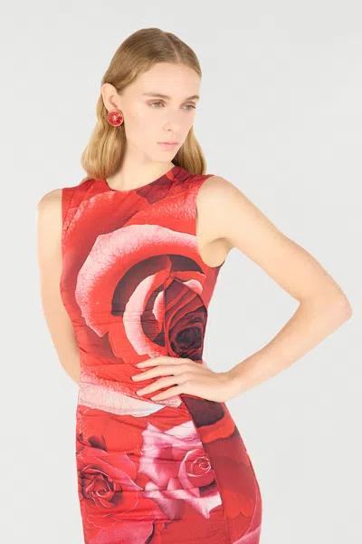 Roberto Cavalli Rose-print Midi Dress In Red