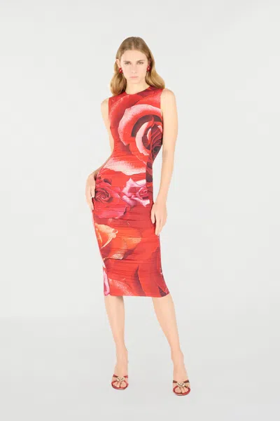 Roberto Cavalli Rose-print Midi Dress In Red