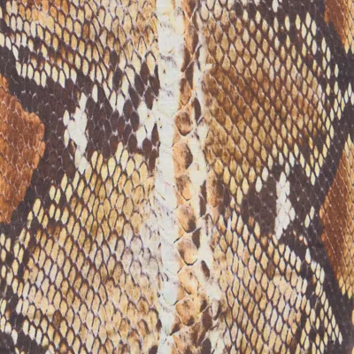 Roberto Cavalli Hemdkleid Mit Python-print In Brown