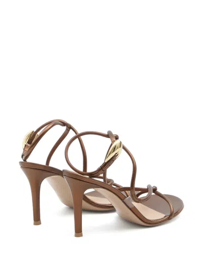 Gianvito Rossi Black Mamba Heeled Sandals 85 In Brown