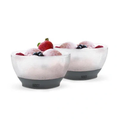 Host Ice Cream Freeze Cooling Bowl Set Of 2 In Gray