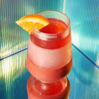 Host Wine Freeze Xl Cooling Cup Set Of 2 In Terra Cotta