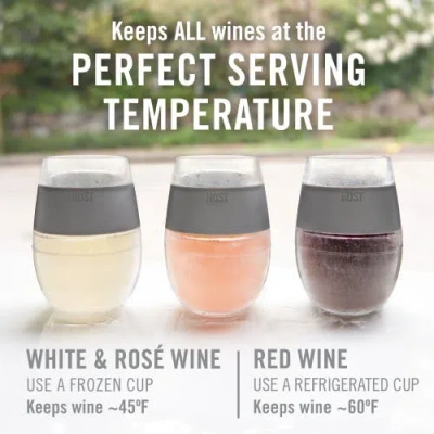 Host Wine Freeze Cooling Cup Set Of 4 In Tinted