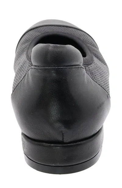 David Tate Newton Cap Toe Flat In Black