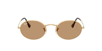 Ray Ban Ray In Brown