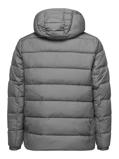Save The Duck Boris Padded Down Jacket With Hood In Grey