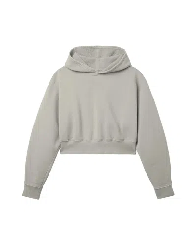 Shop Slvrlake Crop Hoodie In Grey