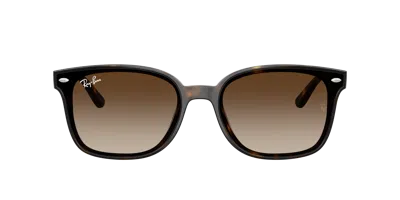 Ray Ban Ray In Gradient Brown