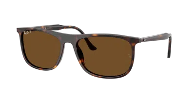 Ray Ban Ray In Brown