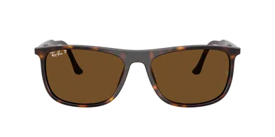 Ray Ban Ray In Brown