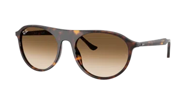 Ray Ban Ray In Brown