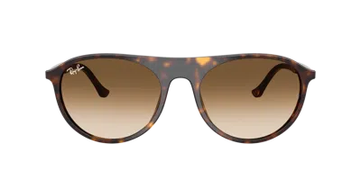 Ray Ban Ray In Brown
