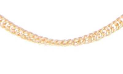 Fuzion Creations Curb Chain Necklace In Yellow